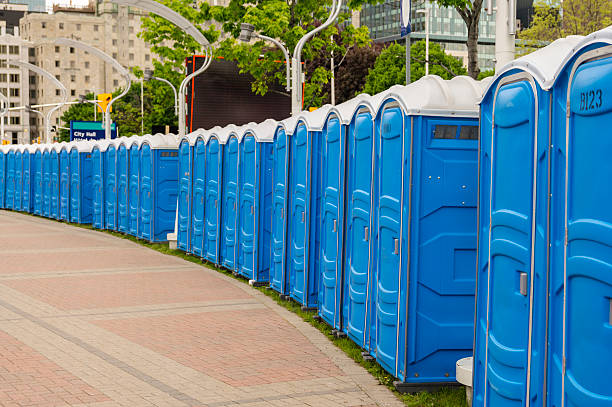Best Portable Toilets for Disaster Relief Sites  in Lake Sherwood, CA